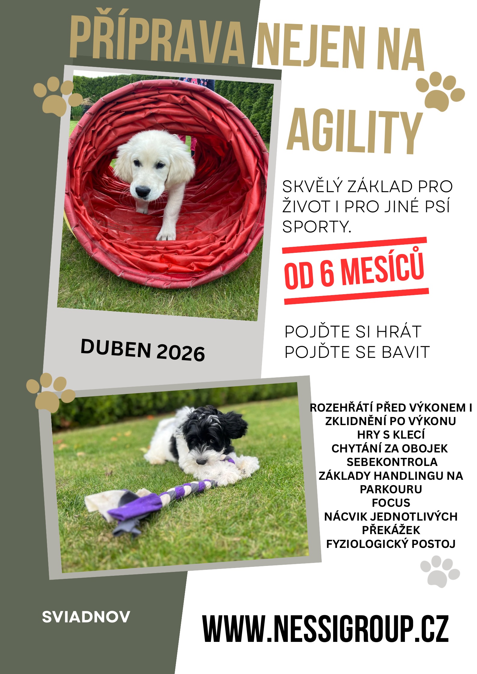 Green-and-gold-collage-lost-dog-poster Green-and-gold-collage-lost-dog-poster